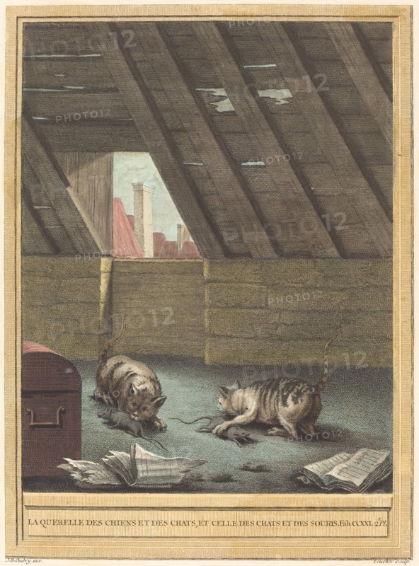 La querelle des chiens et des chats et celle des chats et des souris (The Quarrel of Cats...pub.1759 Creator: Johann Christoph Teucher.