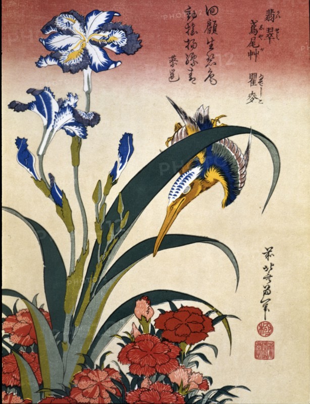 'Japanese Finch', 19th century. Creator: Hokusai, Katsushika (1760 - 1849).