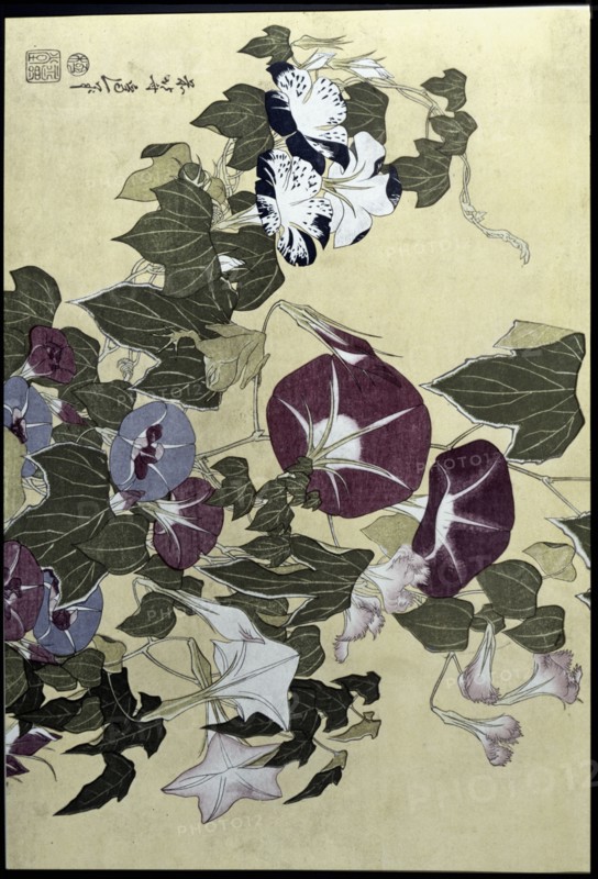 'Flowers', 19th century. Creator: Hokusai, Katsushika (1760 - 1849).