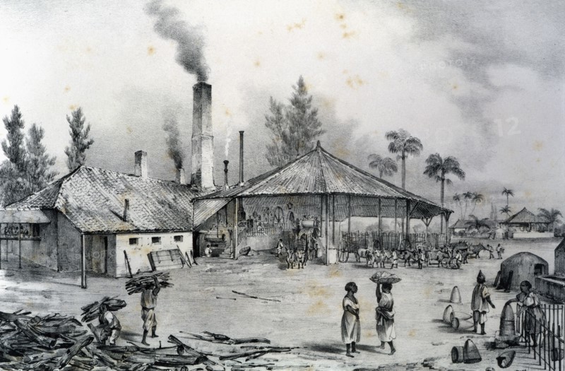 Trapiche de un ingenio during the grinding of sugar cane, 1840. Creator: Mialhe, Federico (1810-1881).