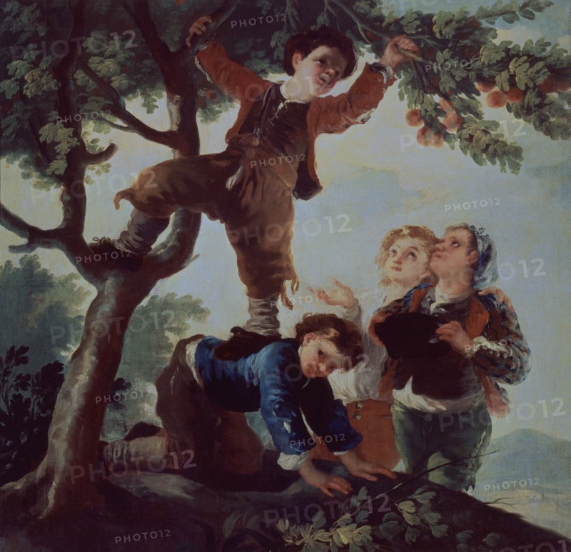Boys Picking Fruit, 18th-19th century. Creator: Goya y Lucientes, Francisco de (1746 - 1828).