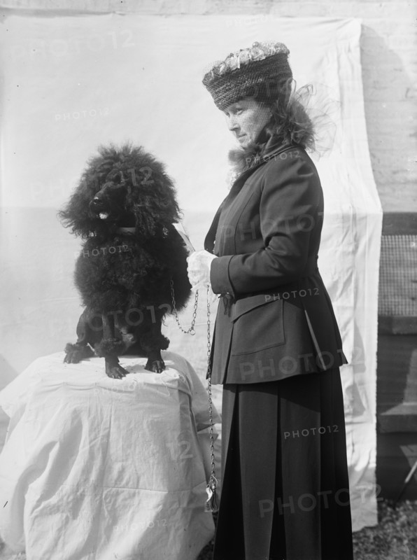 Mrs Goff - Dog Show, 1915. Creator: Harris & Ewing.