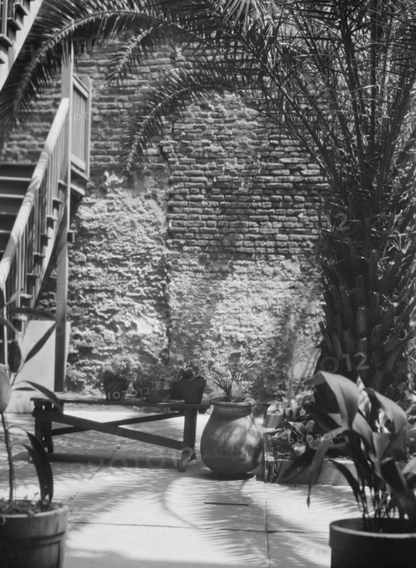 Palm courtyard, New Orleans, between 1920 and 1926. Creator: Arnold Genthe.