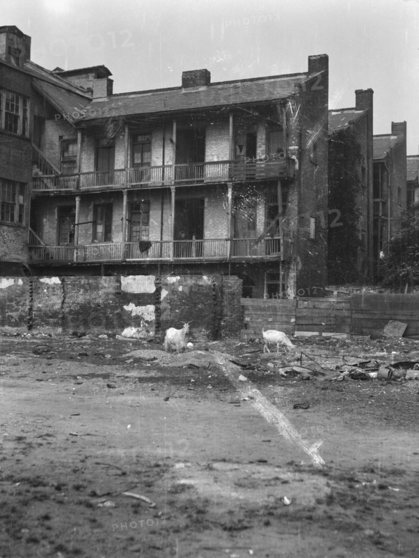 Service wings, New Orleans, between 1920 and 1926. Creator: Arnold Genthe.