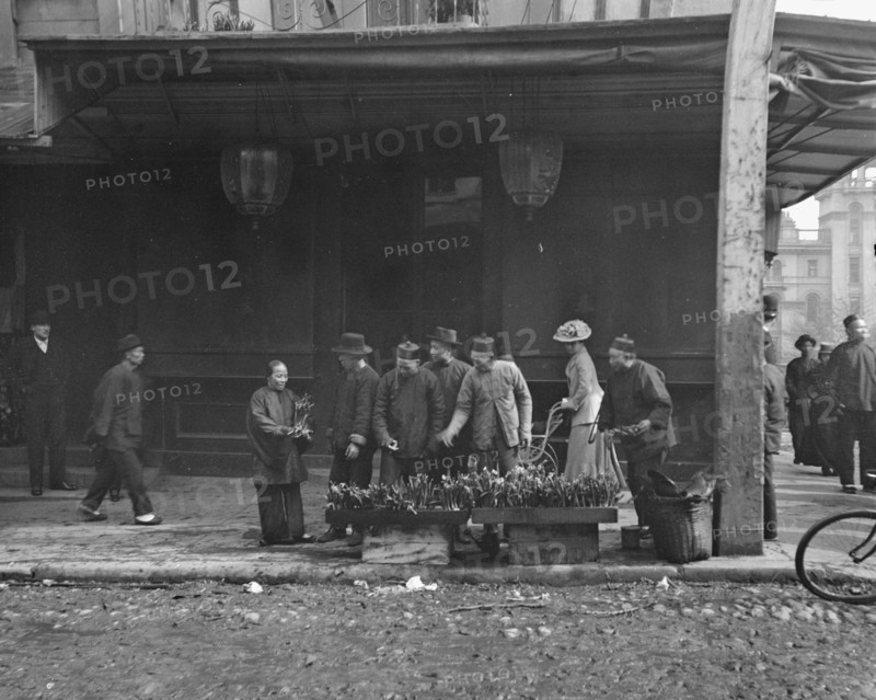 The lily vendor, Chinatown, San Francisco, between 1896 and 1906. Creator: Arnold Genthe.