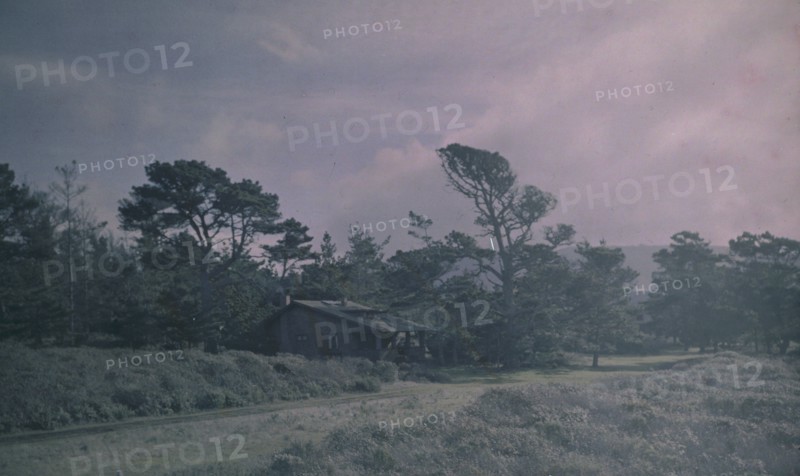 Arnold Genthe's bungalow in Carmel, California, between 1906 and 1911. Creator: Arnold Genthe.
