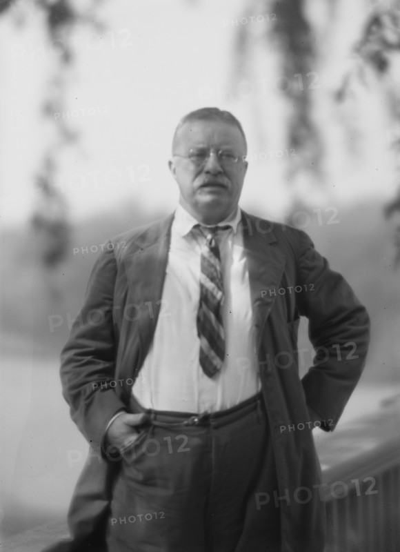 Roosevelt, Theodore, portrait photograph, 1916 Sept. 8. Creator: Arnold Genthe.