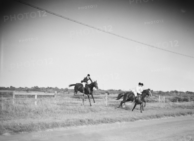 East Hampton hunt, 1933 Sept. Creator: Arnold Genthe.