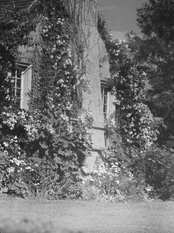 Residence of Mr. Hamilton King, 1934 July. Creator: Arnold Genthe.