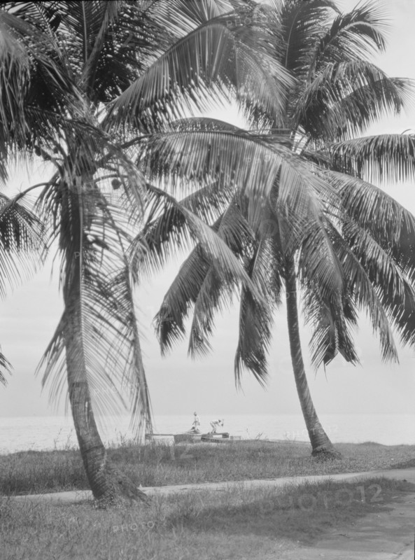 Travel views of Cuba and Guatemala, between 1899 and 1926. Creator: Arnold Genthe.