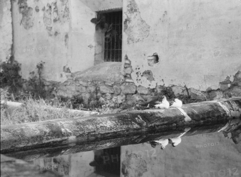 Travel views of Cuba and Guatemala, between 1899 and 1926. Creator: Arnold Genthe.