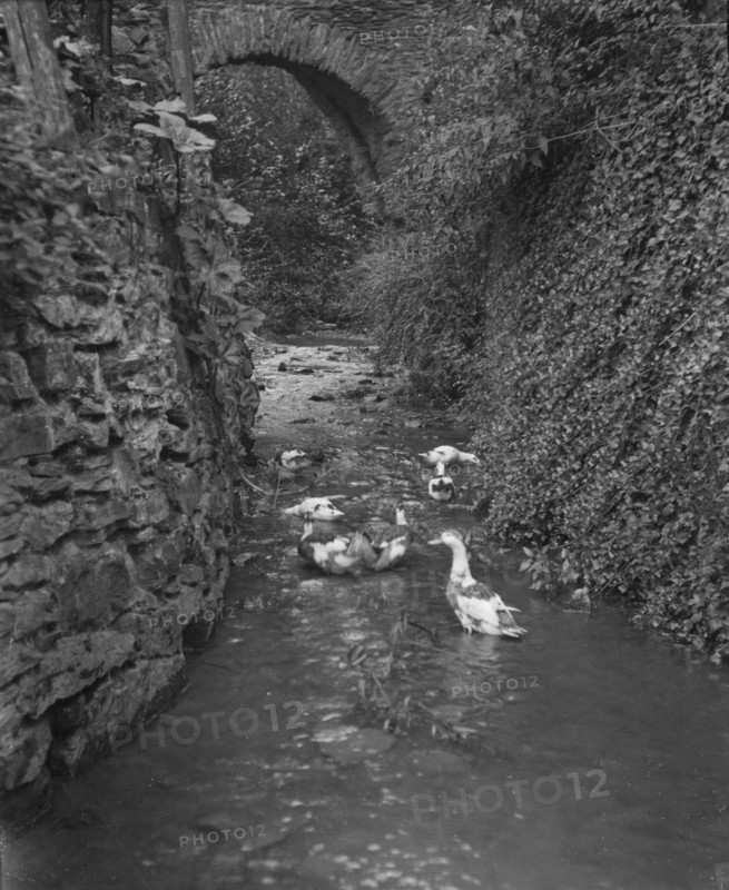 Travel views of Europe, between 1904 and 1938. Creator: Arnold Genthe.