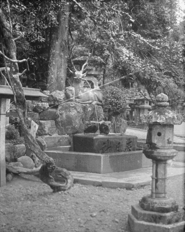 Travel views of Japan and Korea, 1908. Creator: Arnold Genthe.