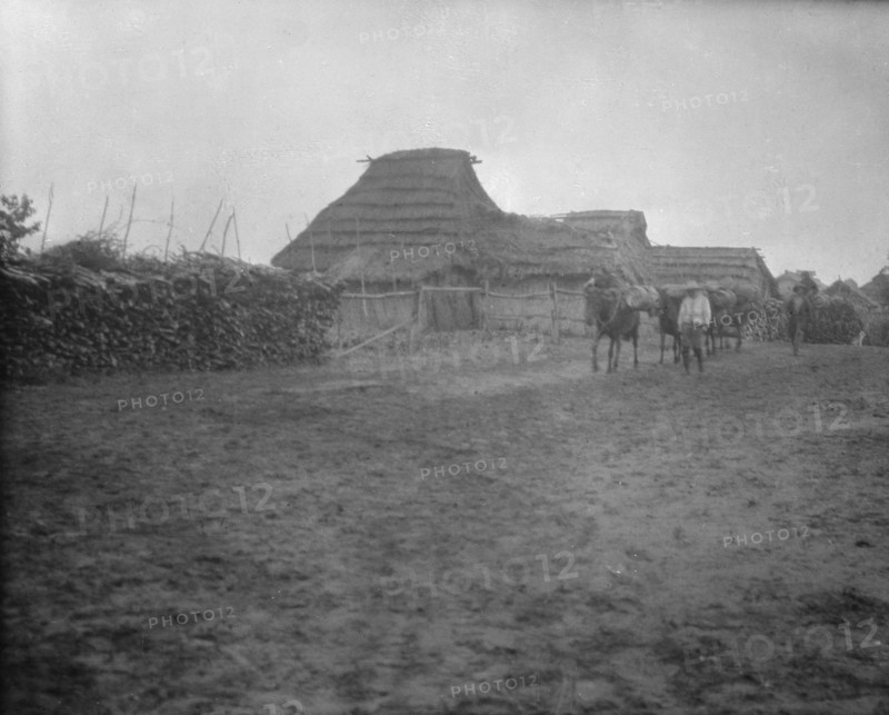View of Ainu village, 1908. Creator: Arnold Genthe.