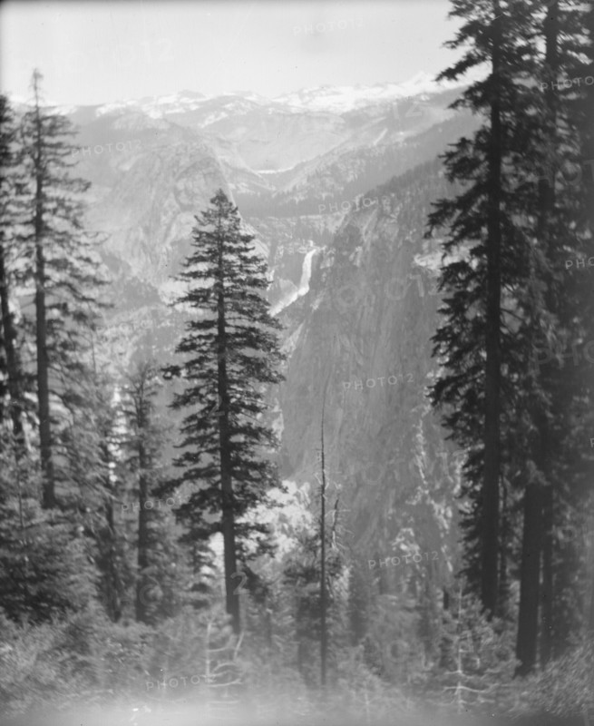Travel views of Yosemite National Park, between 1903 and 1906. Creator: Arnold Genthe.