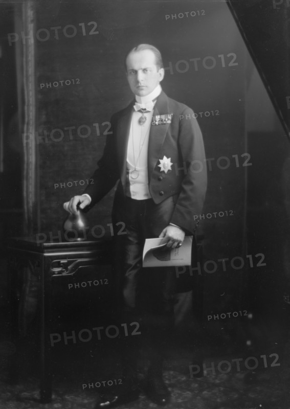 Von Holm, Fritz, Dr., portrait photograph, between 1913 and 1923. Creator: Arnold Genthe.