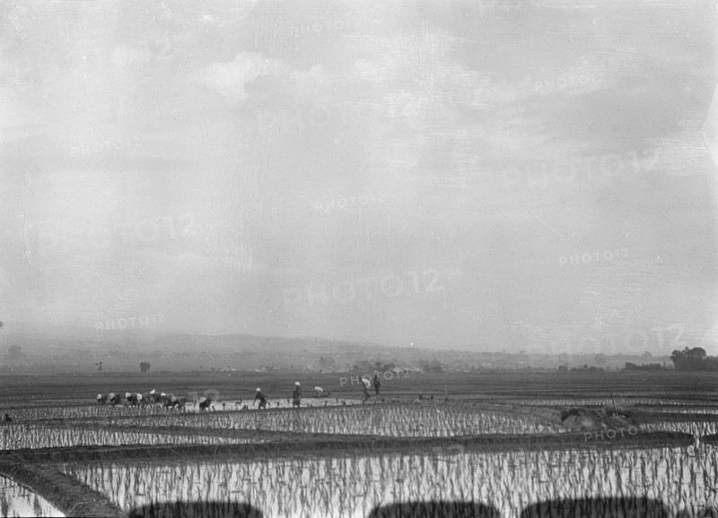 Travel views of Japan and Korea, 1908. Creator: Arnold Genthe.
