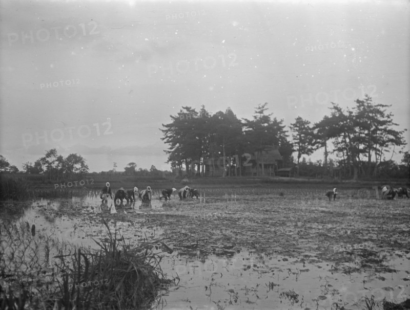 Travel views of Japan and Korea, 1908. Creator: Arnold Genthe.