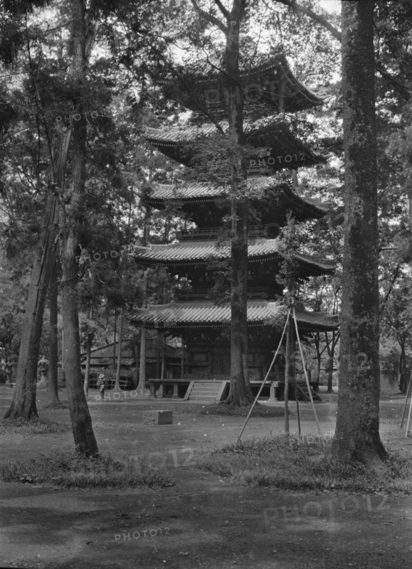 Travel views of Japan and Korea, 1908. Creator: Arnold Genthe.