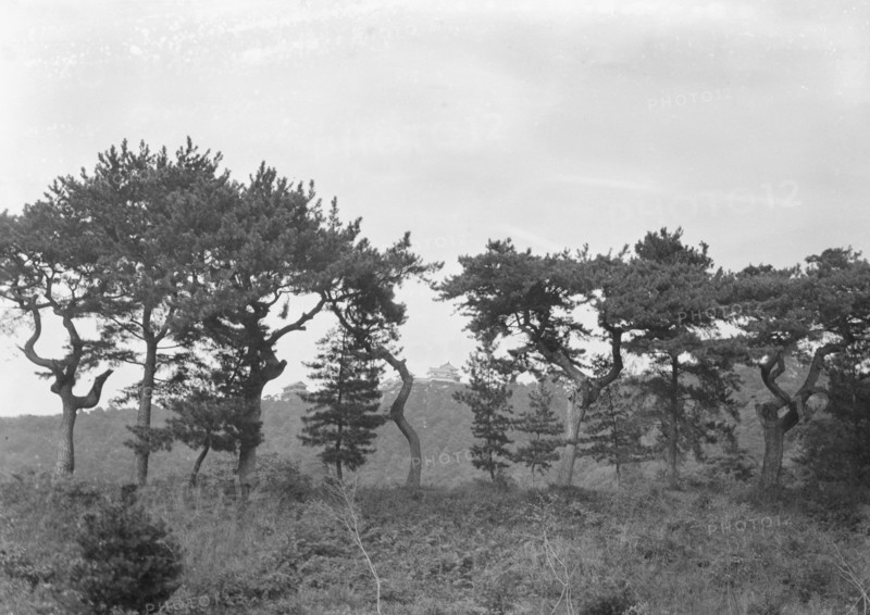 Travel views of Japan and Korea, 1908. Creator: Arnold Genthe.