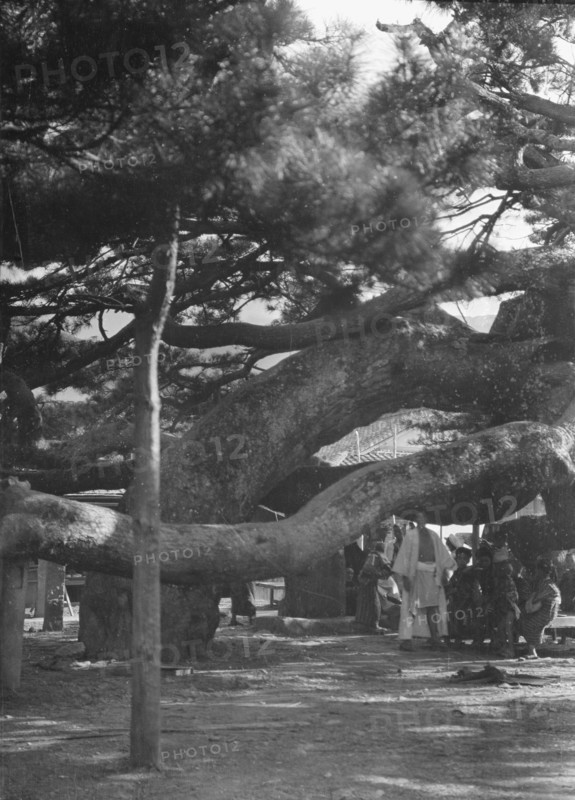 Travel views of Japan and Korea, 1908. Creator: Arnold Genthe.