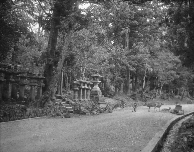 Travel views of Japan and Korea, 1908. Creator: Arnold Genthe.