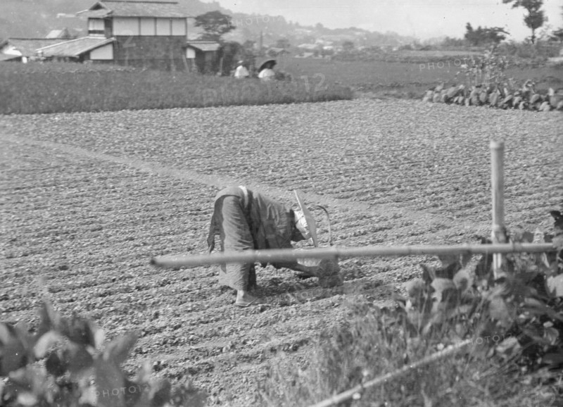 Travel views of Japan and Korea, 1908. Creator: Arnold Genthe.