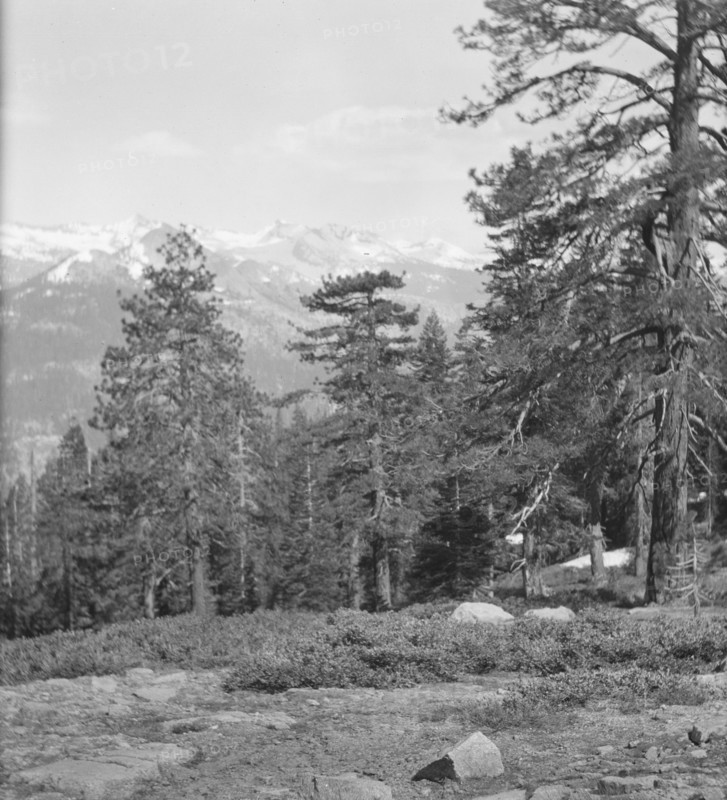 Travel views of Yosemite National Park, between 1903 and 1906. Creator: Arnold Genthe.