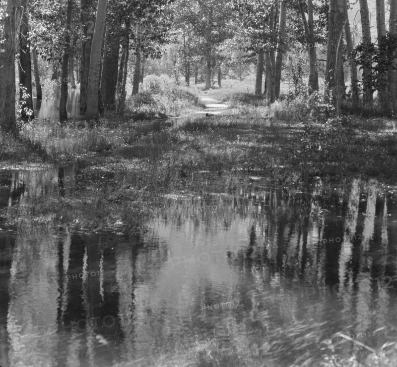 Travel views of Yosemite National Park, between 1903 and 1906. Creator: Arnold Genthe.