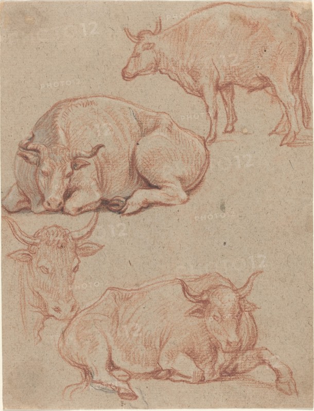 Four Cows. Creator: Claude Lorrain.