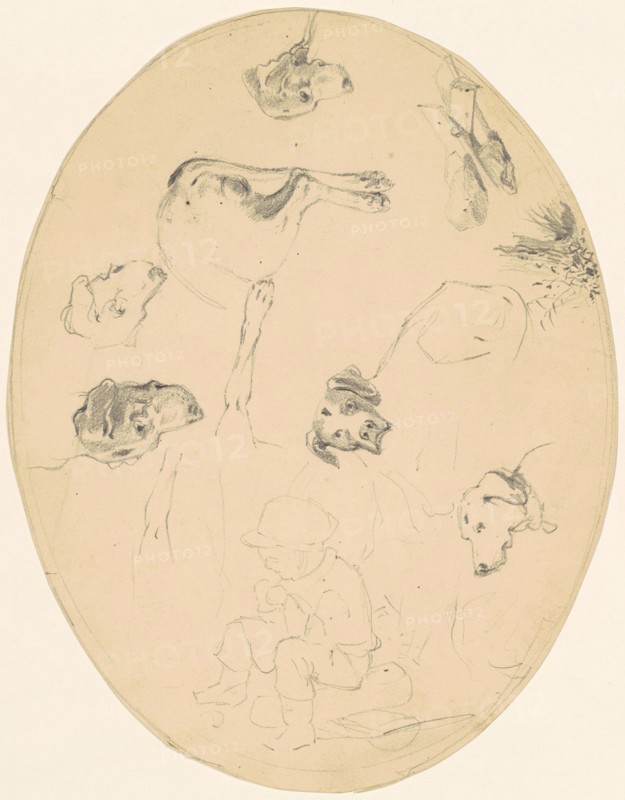 Studies of Dogs and a Seated Boy [recto], c. 1840-1850. Creator: James Goodwyn Clonney.