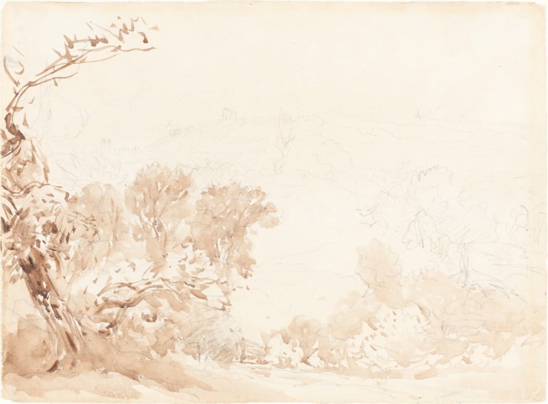 Hillside and Trees. Creators: David Cox, David Cox the elder.