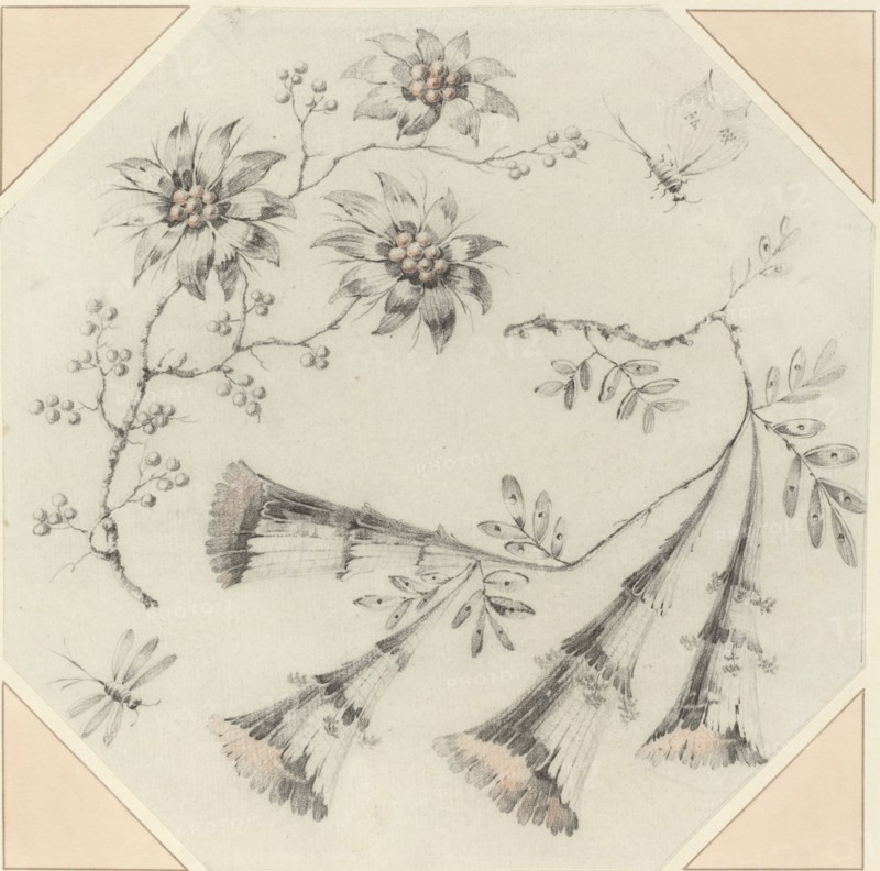 Trumpet Flowers and Daisies. Creator: Jean-Baptiste Pillement.