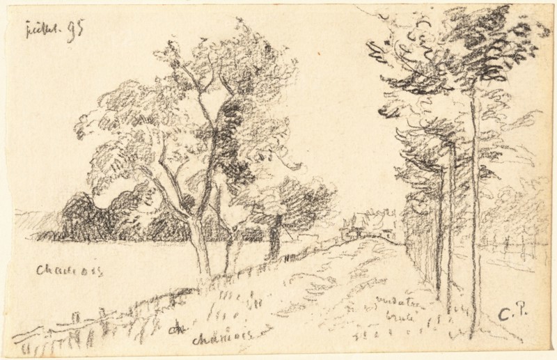 The Driveway, 1895. Creator: Camille Pissarro.