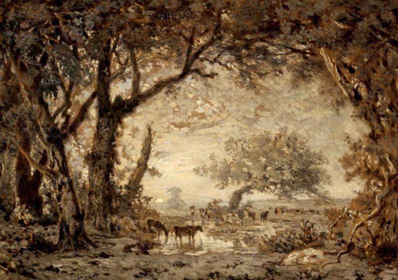 Sunset from the Forest of Fontainebleau, 1848. Creator: Theodore Rousseau.
