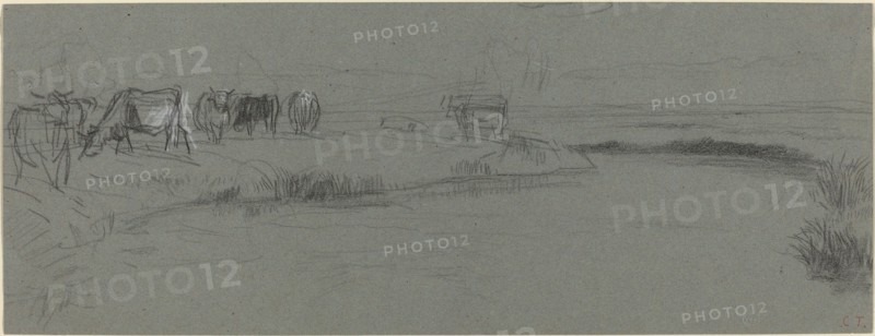 River Bank with Cattle, probably after 1850. Creator: Constant Troyon.