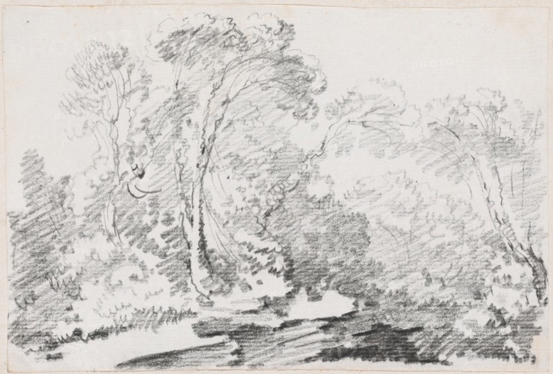 Trees, 1744/1750. Creator: Joseph-Marie Vien the Elder.