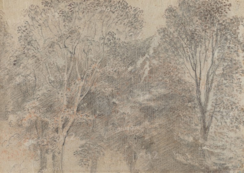 Treetops [verso]. Creator: Jean-Antoine Watteau.
