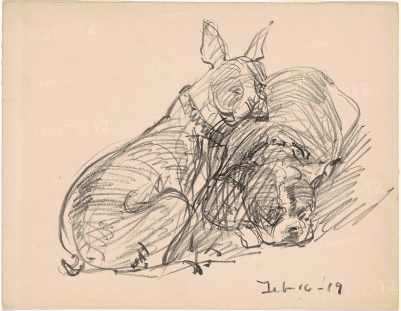 Two Dogs, 1919. Creator: Charles Herbert Woodbury.