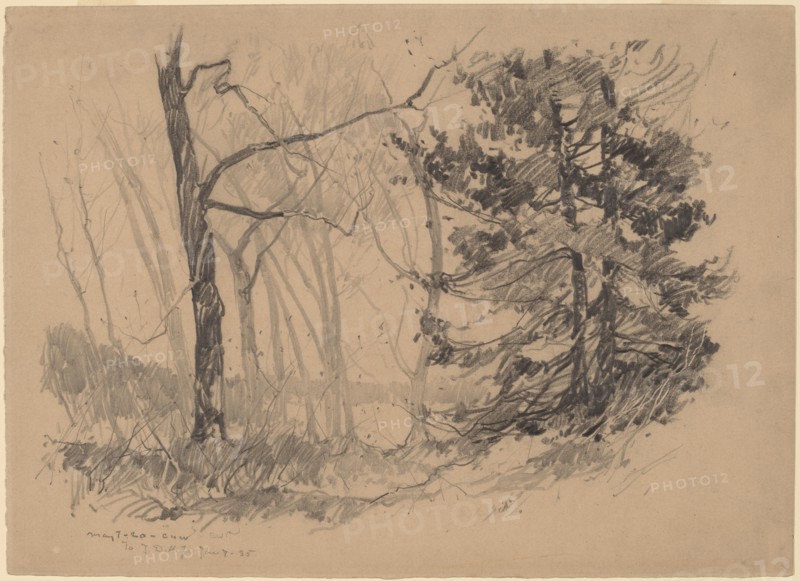 Wood Interior, 1920. Creator: Charles Herbert Woodbury.