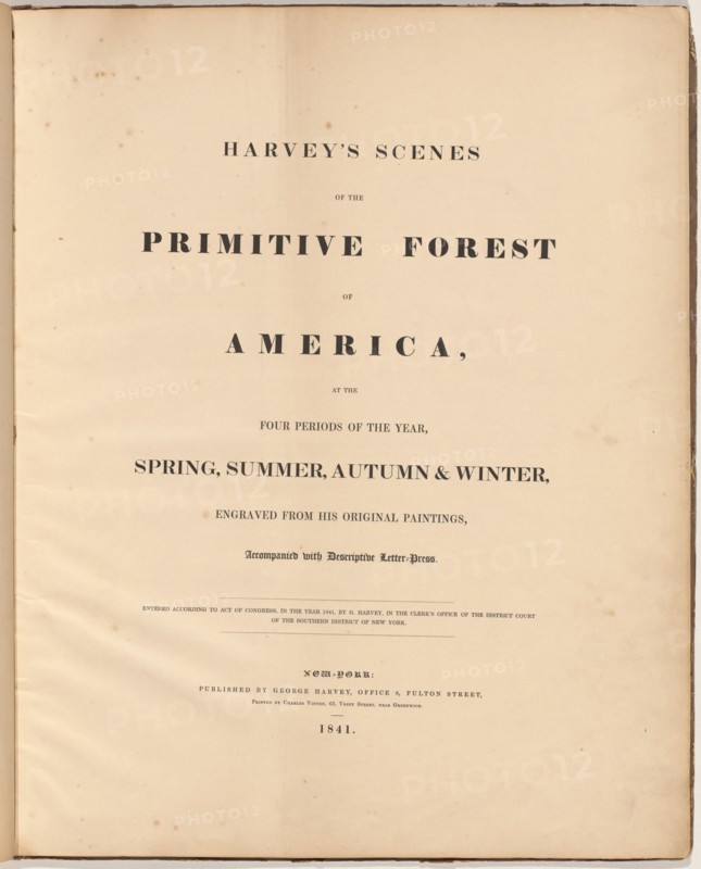 Harvey's Scenes of the Primitive Forest, 1841. Creators: William James Bennett, George Harvey, George Harvey.