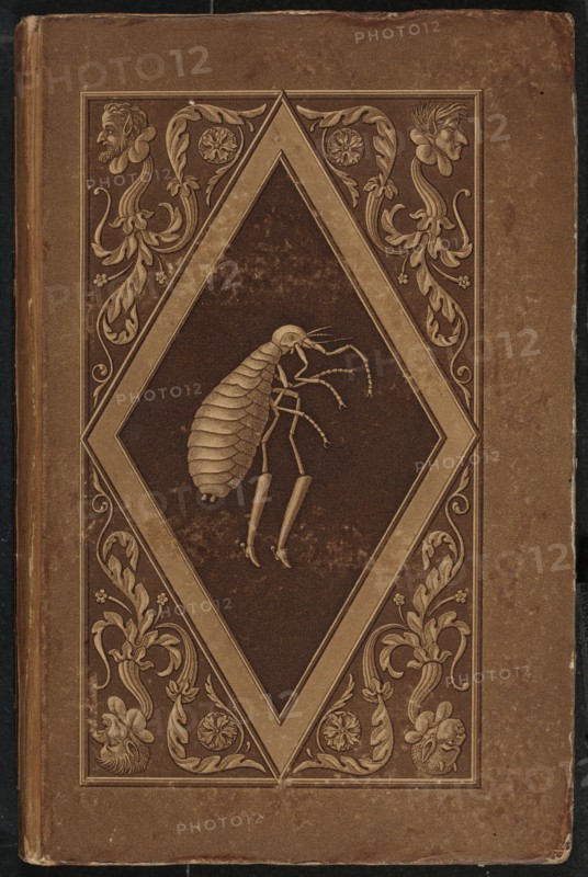 Meister Floh. Ein Marchen in sieben Abentheuern zweier Freunde (Master Flea..., 1822. Creators: Karl Friedrich Thiele, Ernst Theodor Amadeus Hoffmann.