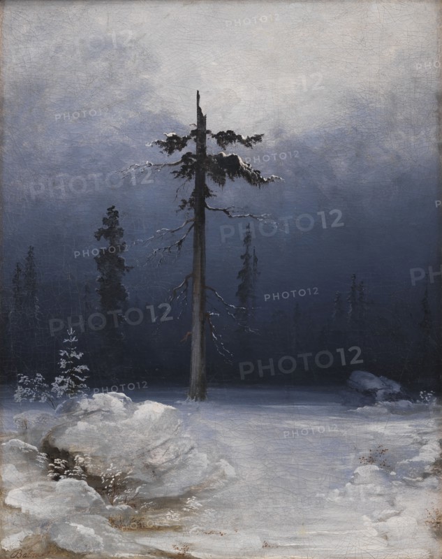 Tree in a Wintry Forest, 1850-1859. Creator: Peder Balke.