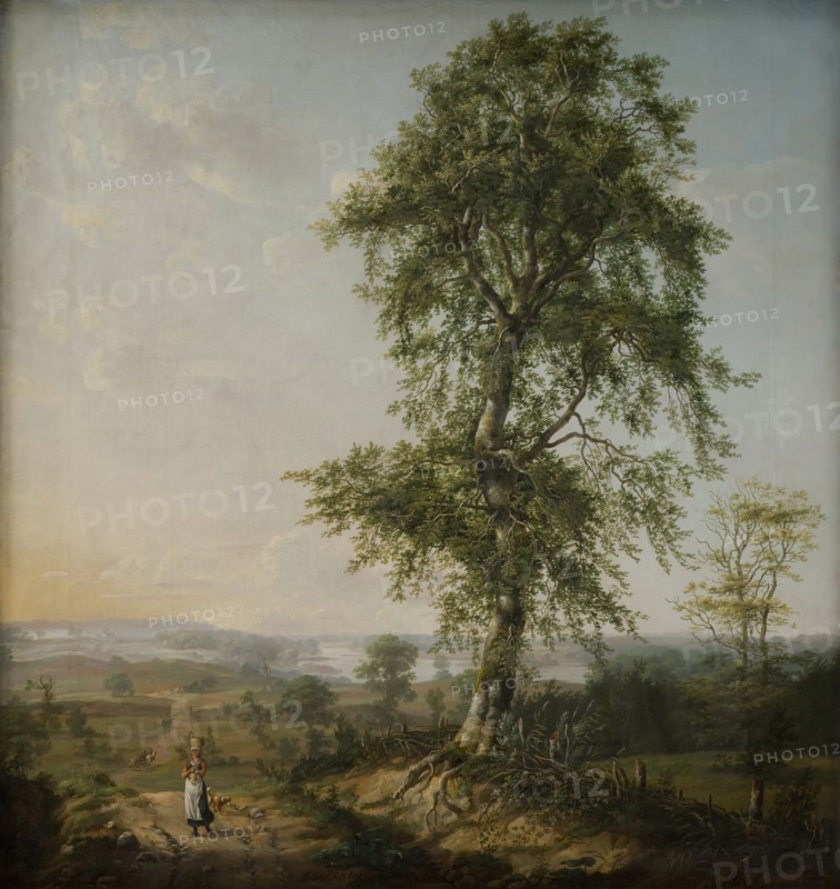 Landscape with a Big Tree, 1814. Creator: Johan Christian Dahl.