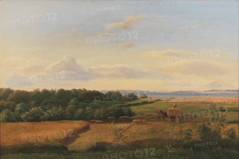 A Funen Landscape at Harvest Time with Wedellsborghoved in the Background, 1846. Creator: Dankvart Dreyer.