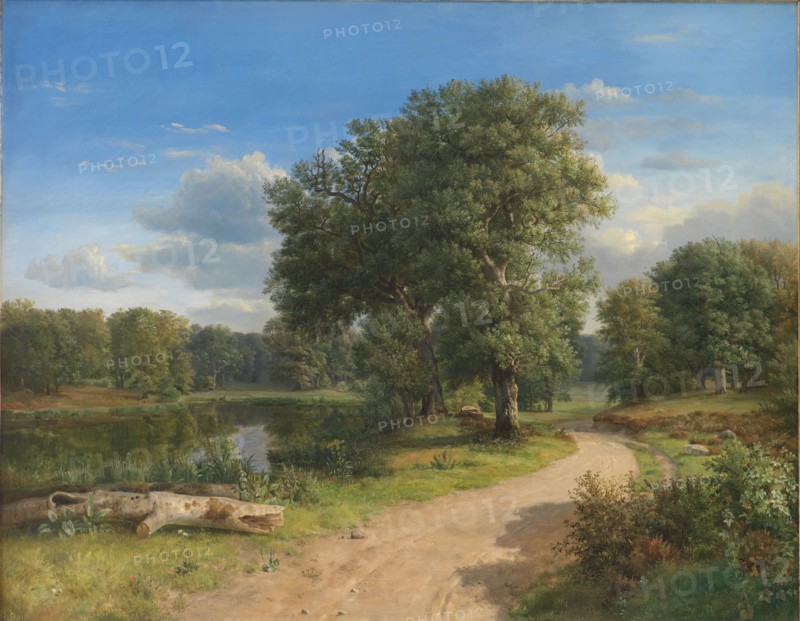 Landscape near Hammermollen, North Zealand, 1843. Creator: Dankvart Dreyer.