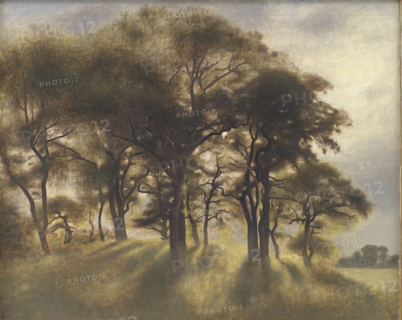 Near Fortunen, Jægersborg Deer Park, North of Copenhagen;From the Deerpark near Copenhagen, 1901. Creator: Vilhelm Hammershøi.