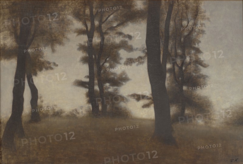 Tree Trunks. Arresodal near Frederiksværk, North Zealand, 1904. Creator: Vilhelm Hammershøi.