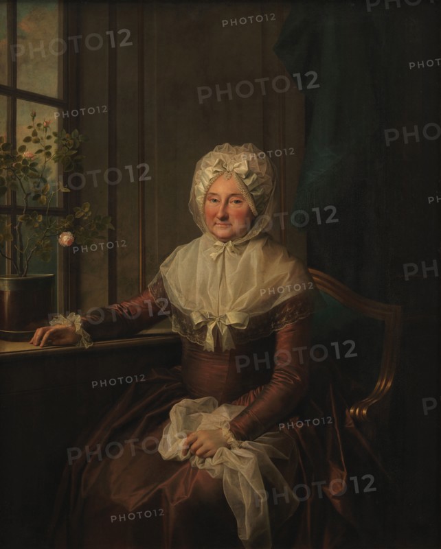 Countess Anna Joachima Danneskiold-Laurvigen, née Ahlefeldt, 1790-1791. Creator: Jens Juel.