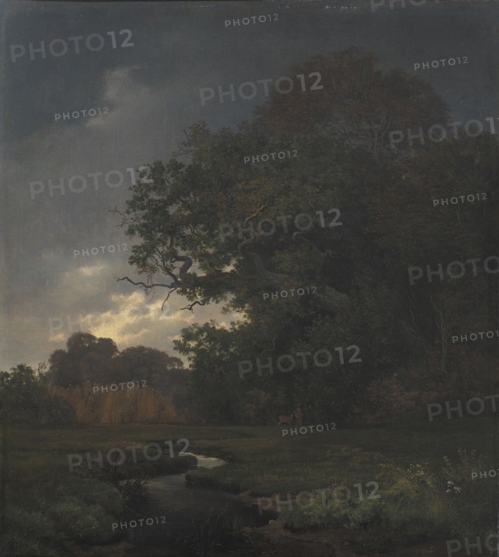 Landscape in Cloudy Weather. Late Afternoon, 1840. Creator: Johan Thomas Lundbye.